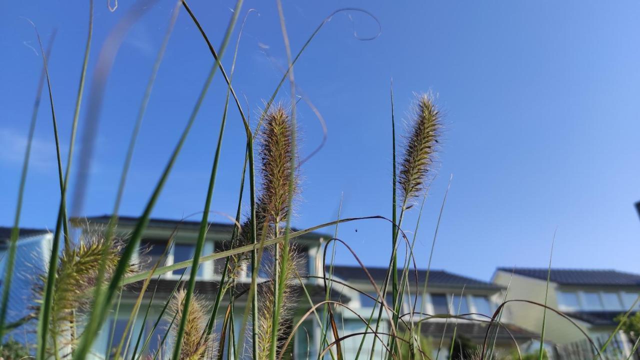 Wierhooft 21 Villa Den Oever Exteriör bild