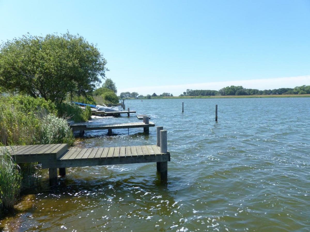 Wierhooft 21 Den Oever Exteriör bild